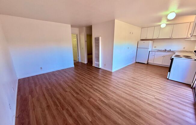 84 Nelson Ave