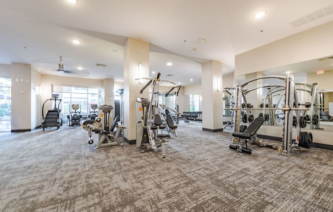 A spacious gym with a variety of equipment.