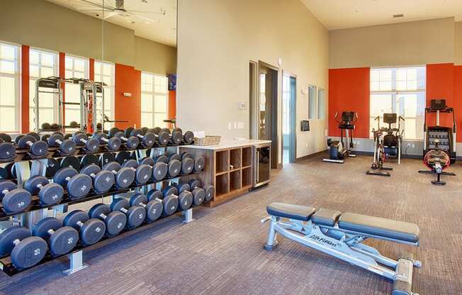 Fitness Center with Cardio and Strength Equipment