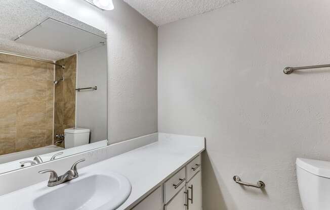 a bathroom with a sink and a mirror and a toilet