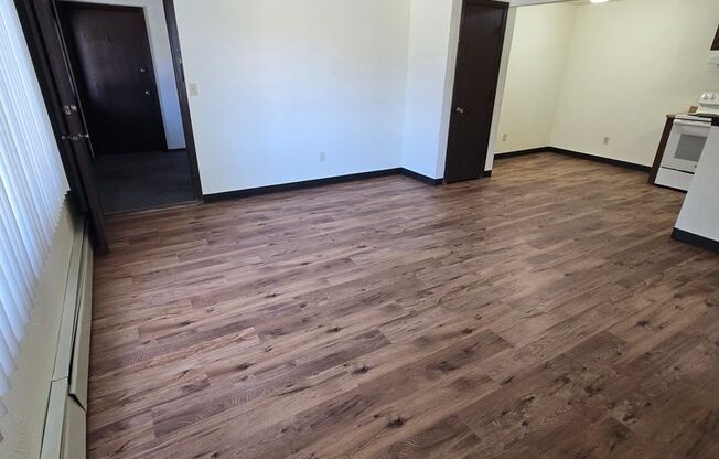 1 bed, 1 bath, 595 sqft, $989, Unit 1688-02