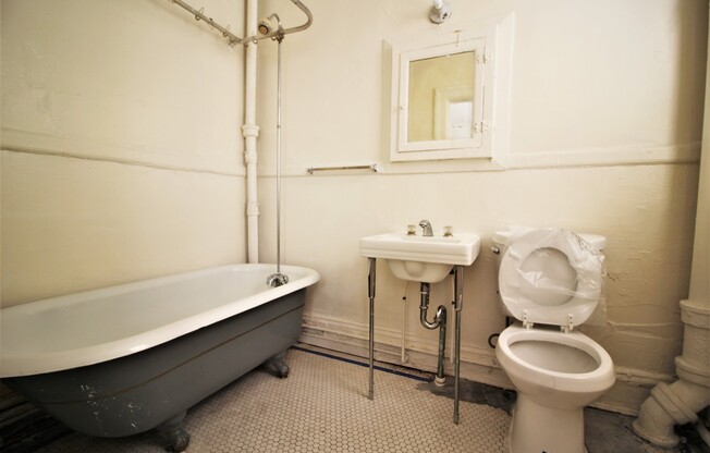 1 bed, 1 bath, 2 sqft, $950, Unit #206