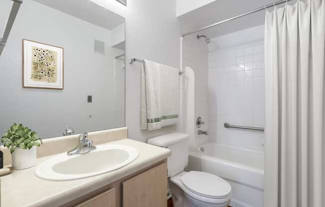 a bathroom with a sink toilet and bathtub