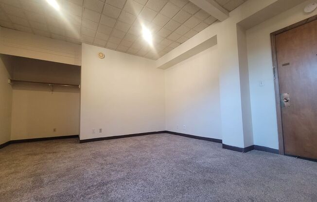 Studio, 1 bath, $795, Unit 387