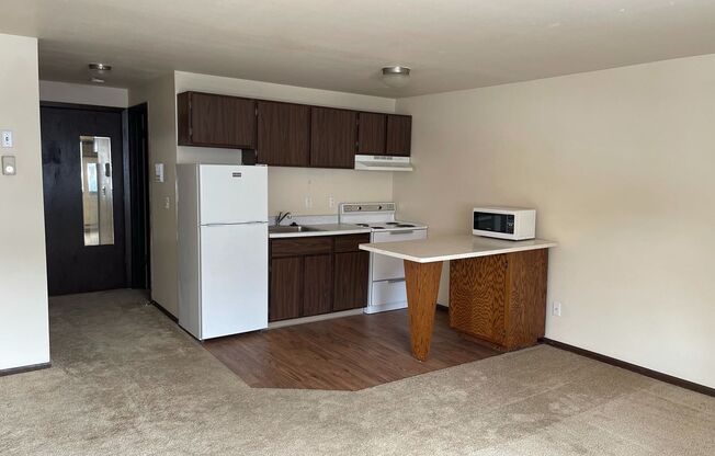 Studio, 1 bath, 300 sqft, $1,055, Unit 102-210
