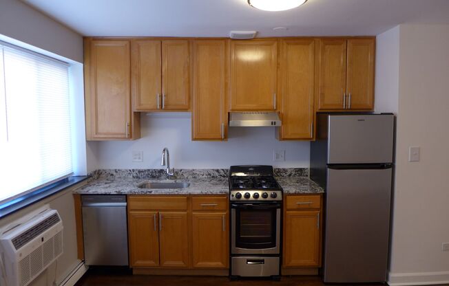 Studio, 1 bath, 305 sqft, $1,250, Unit 409