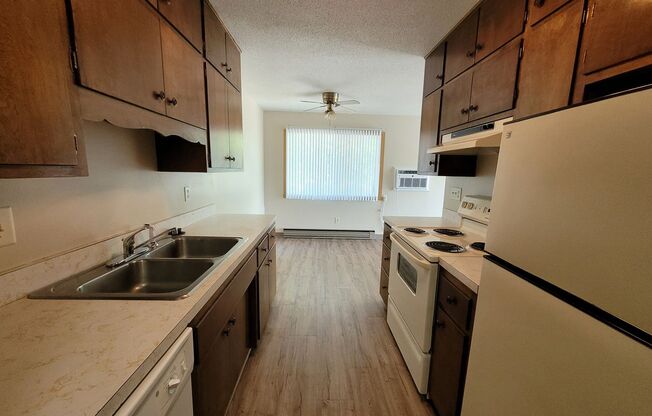 1 bed, 1 bath, 900 sqft, $700, Unit 305