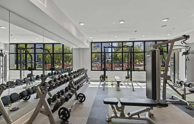 a gym with a row of weights machines and a large window