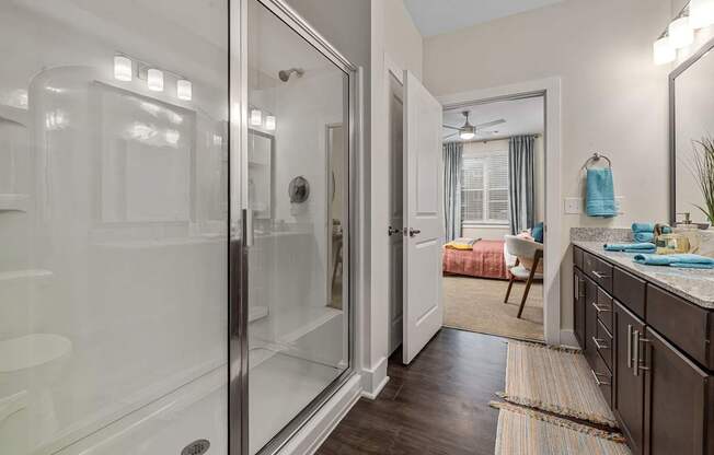 A bathroom with a walk-in shower and a vanity with a mirror.