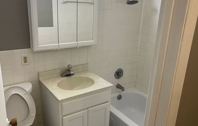 Studio, 1 bath, $925, Unit 310