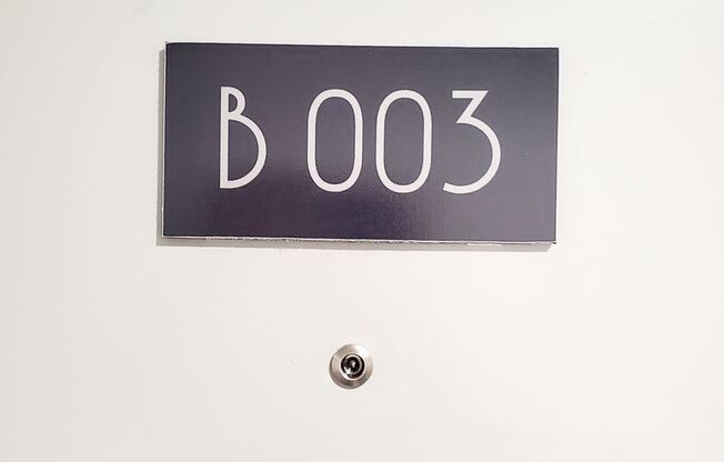 Studio, 1 bath, 167 sqft, $999, Unit B003