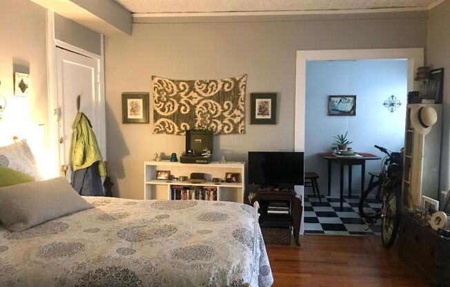 Studio, 1 bath, 500 sqft, $1,495, Unit 873-17