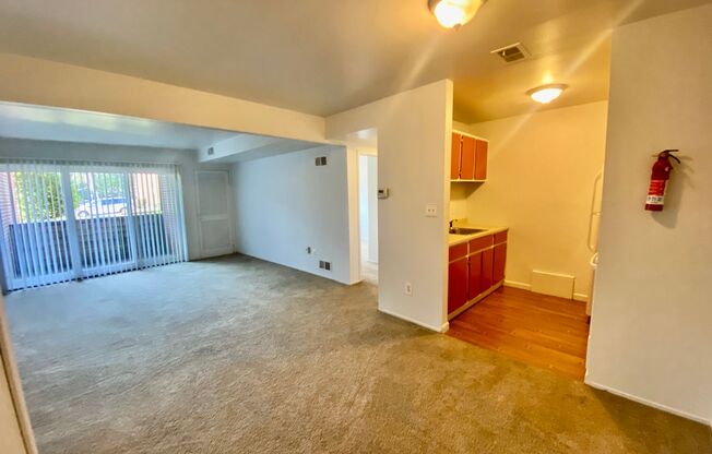 1 bed, 1 bath, 700 sqft, $1,075, Unit #102