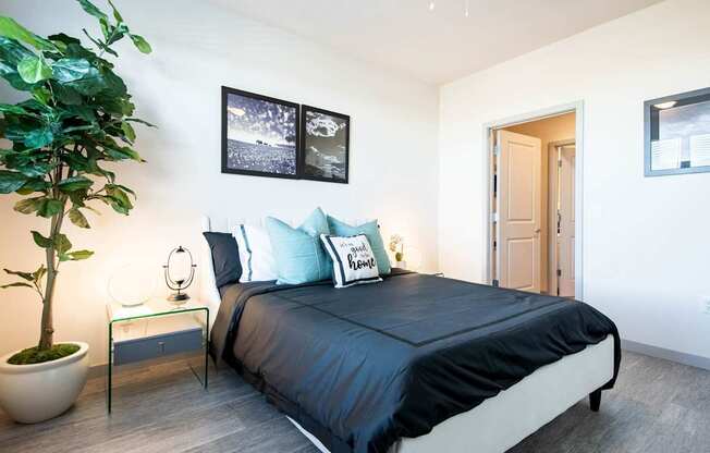 A bedroom with a bed, a potted plant, and pictures on the wall.