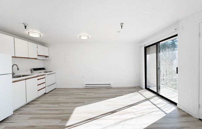 1 bed, 1 bath, 480 sqft, $1,350, Unit 405