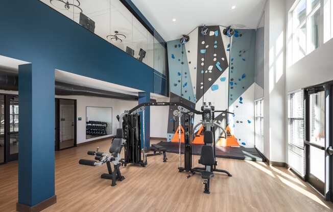 a gym with exercise equipment and a rock climbing wall