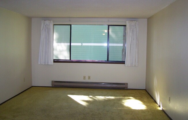 Studio, 1 bath, 500 sqft, $1,025