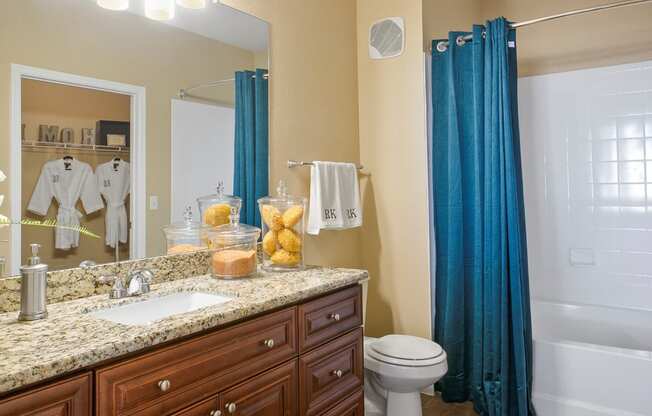 Painted Trails Bathroom with Bathtub