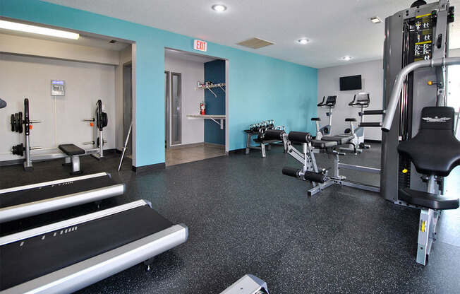the view apartment and townhomes fitness center