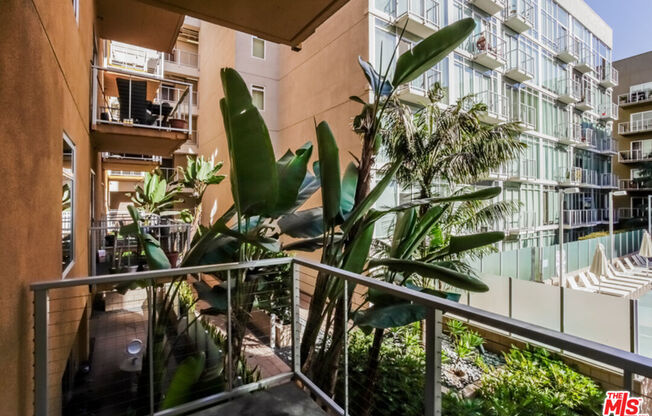 1 bed, 1 bath, 855 sqft, $2,500, Unit 343
