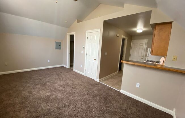 1 bed, 1 bath, 401 sqft, $610, Unit Apt 4