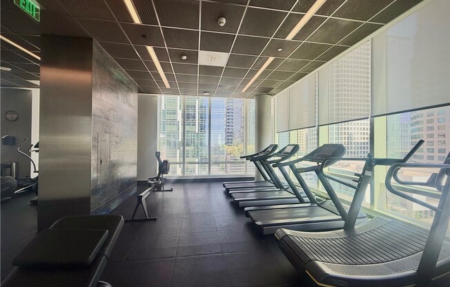 1 bed, 1 bath, 828 sqft, $3,100, Unit 2102