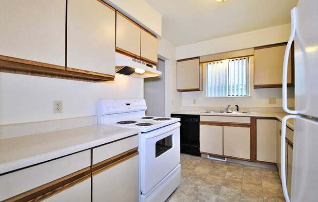 the view apartment and townhomes kitchen