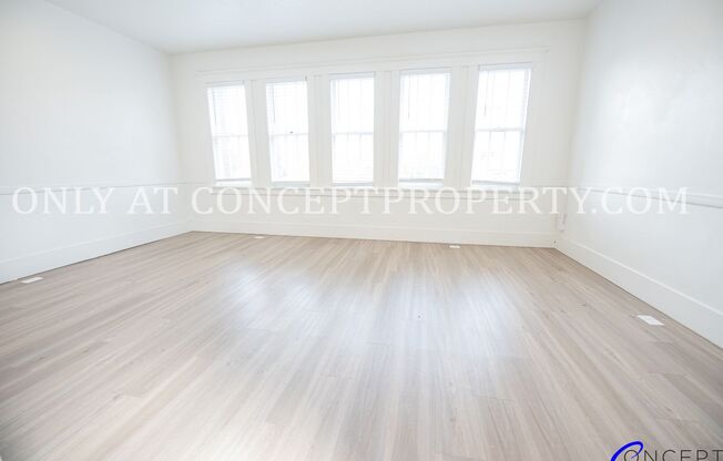 1 bed, 1 bath, 545 sqft, $1,199, Unit 11