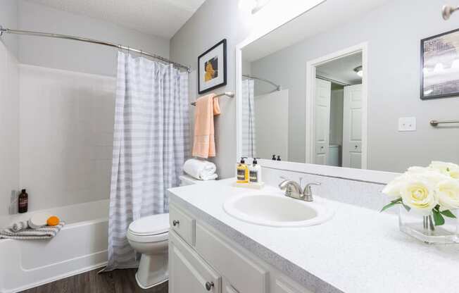 Bathroom at Northgreen at Carrollwood Apartments in Tampa, FL