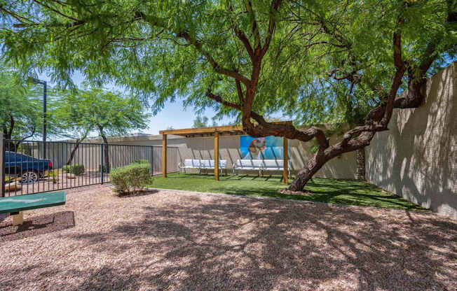 San Portella, Tempe, AZ, Dog Park