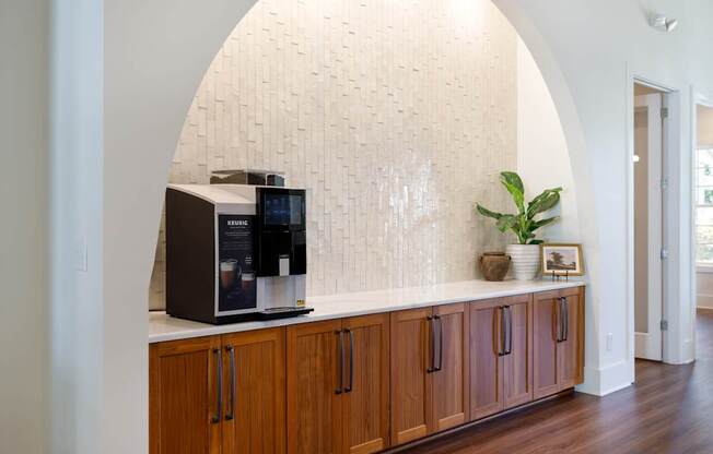 A kitchen with wooden cabinets and a white wall with a plant on the counter.