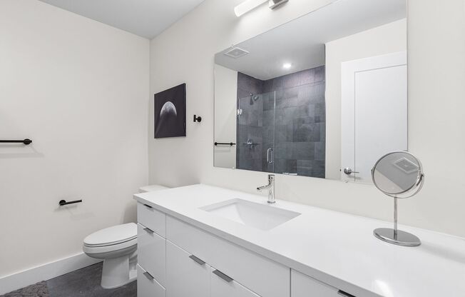 Studio, 1 bath, 398 sqft, $1,350, Unit 504