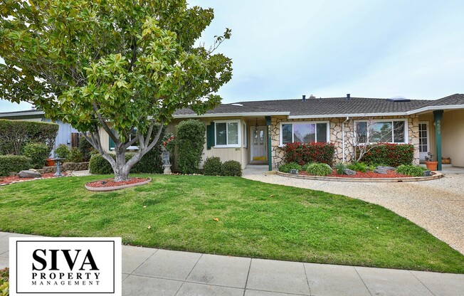 Almaden Beauty