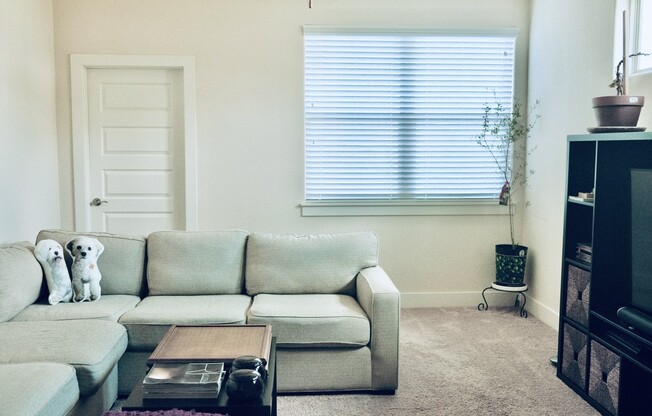 12230 COTTAGE PROMENADE CT