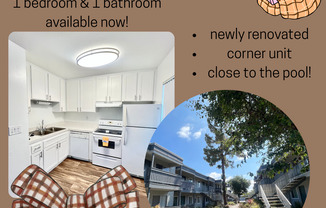 1 bed, 1 bath, 436 sqft, $1,795, Unit 66