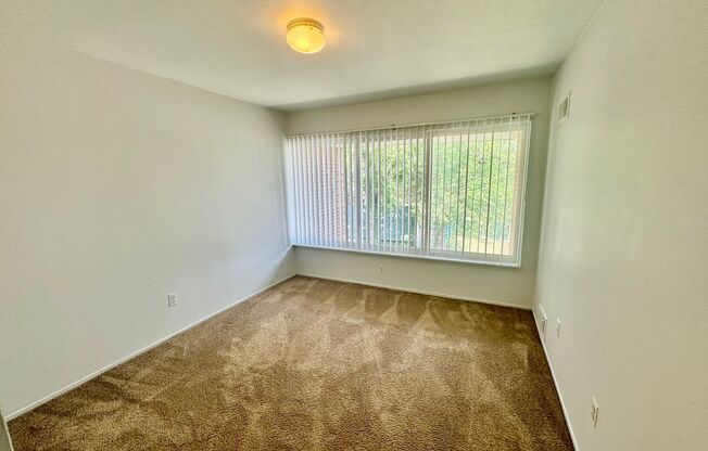 1 bed, 1 bath, 700 sqft, $1,095, Unit #310