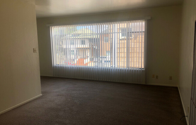Spacious units in a great location by the RSF, Ellsworth at Haste St. - New Carpet!