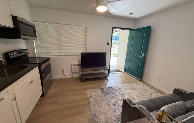 Studio, 1 bath, 310 sqft, $1,750, Unit A-310- 105