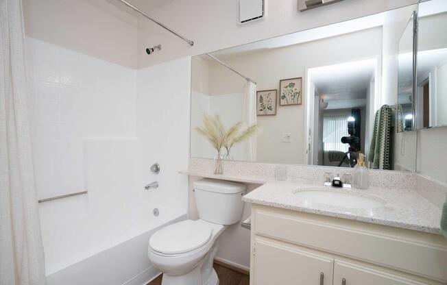 A clean and modern bathroom featuring a bathtub with a shower, a white toilet, and a vanity with a sink. Decorative plants and framed artwork add a touch of warmth. The room is well-lit with a mirror reflecting the space, and thereâs a window with sheer curtains in the background.