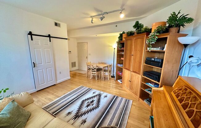 1 bed, 1 bath, $2,495, Unit UNIT # 504