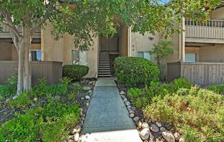 9175 Campina Dr. #19