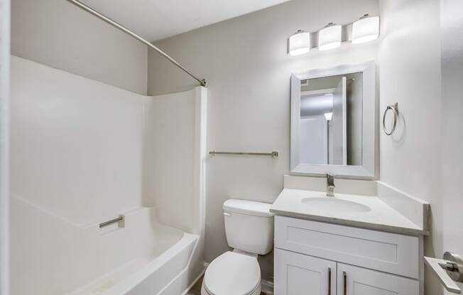 a bathroom with a sink and a toilet and a bath tub