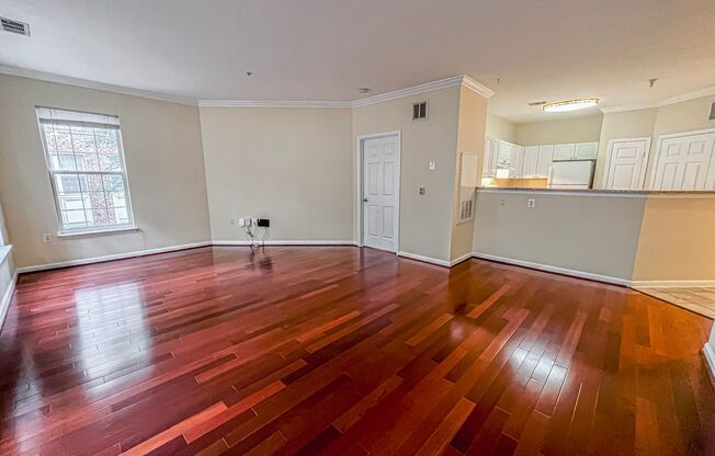 Gorgeous 2 Bed 2 Bath Corner Unit In Vibrant High Point At Jefferson - Water Included