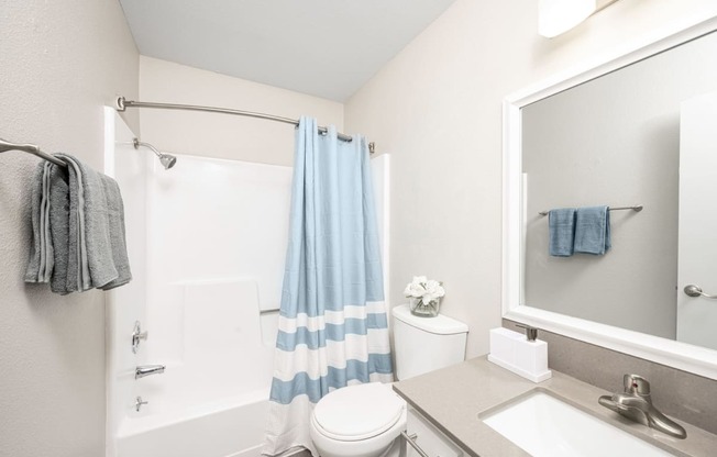 a bathroom with a shower toilet and sink
