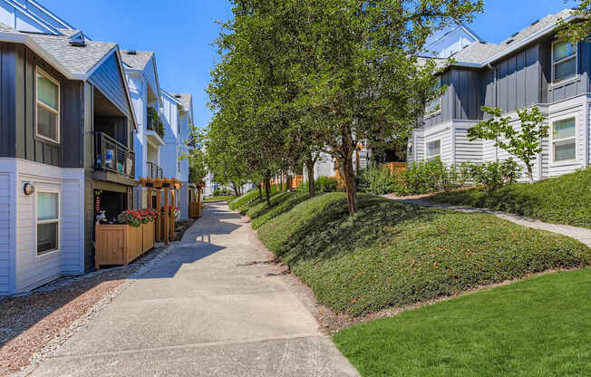 A row of houses with a sidewalk in front.