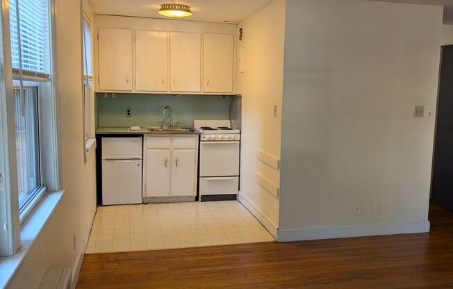 Studio, 1 bath, 300 sqft, $1,900