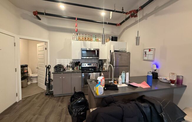 Brand New Luxury Temple Apartments