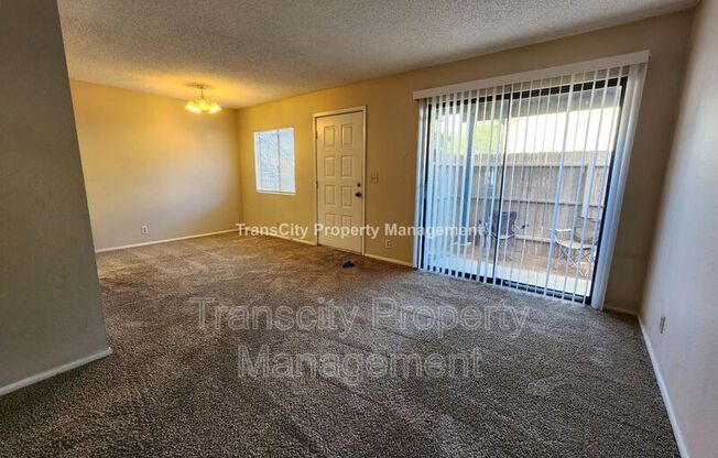 286 W Palomino Dr