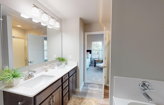 Double Vanity in Master Bedroom