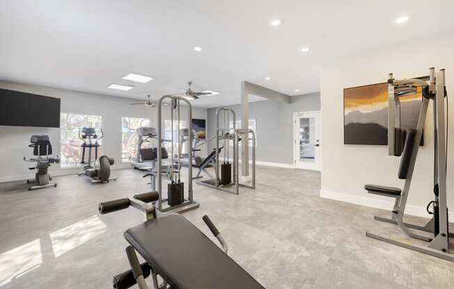 Whether you're lifting weights, participating in group classes, or enjoying cardio sessions, our revitalized space inspires you to achieve your health goals in style.